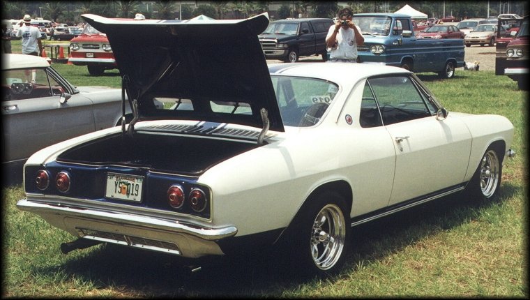 Yenko Stinger YS-019